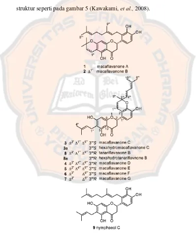 Gambar 5. Struktir isolasi senyawa macaflavanone A-G dan nymphaeol C (Kawakami, et al., 2008)
