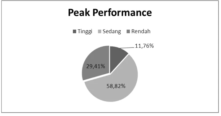 Gambar 1. Diagram Pie Peak Performance 