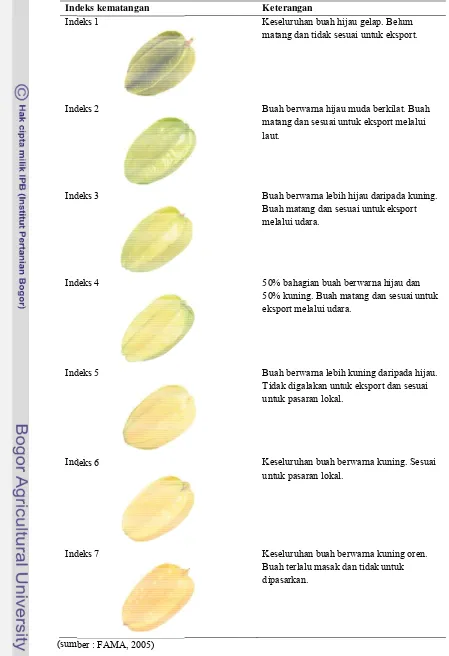 Tabel 1. Indeeks kematangaan buah belimbbing berdasarrkan perubahaan warna. 