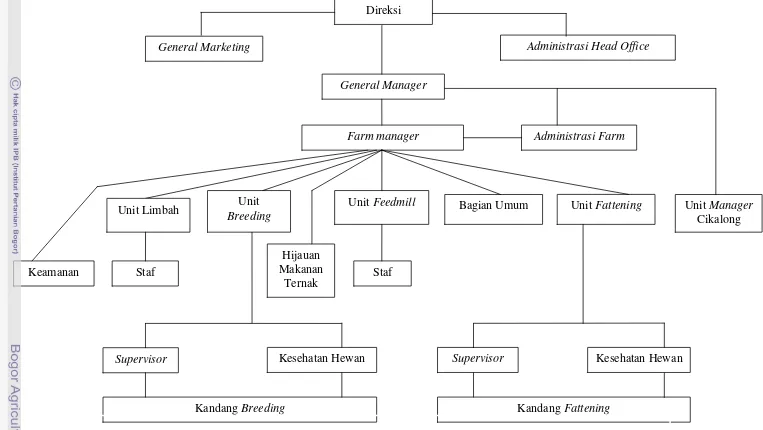 Gambar 1. Bagan Struktur Organisasi PT Lembu Jantan Perkasa (Sumber : LJP, 2010) 