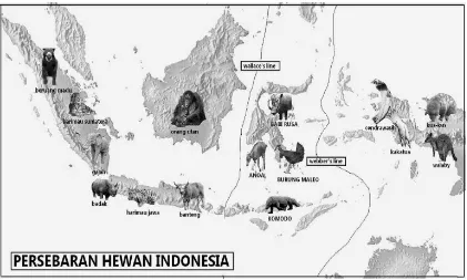 Gambar 2.  Persebaran fauna Indonesia 