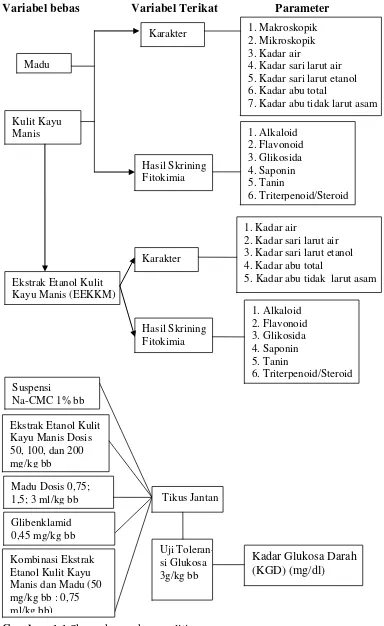 Gambar  1.1 Skema kerangka penelitian 