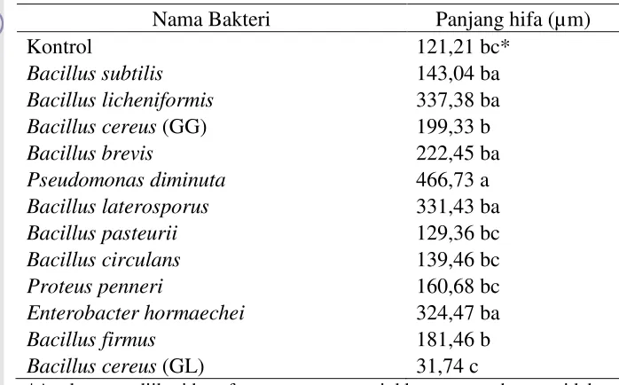 Tabel 5  Perkembangan hifa mikoriza  