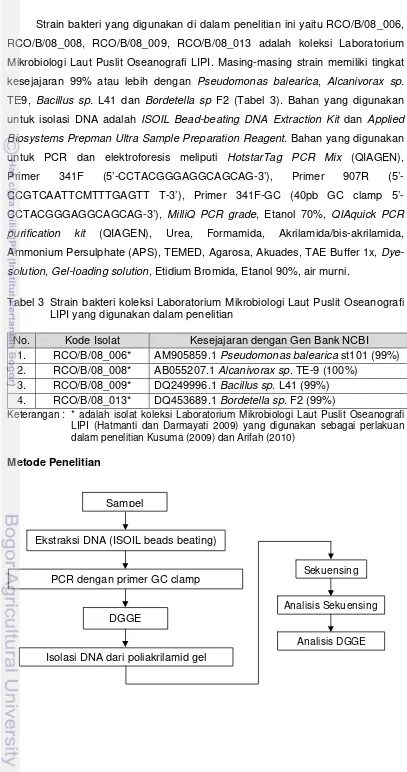 Tabel 3  Strain bakteri koleksi Laboratorium Mikrobiologi Laut Puslit Oseanografi 