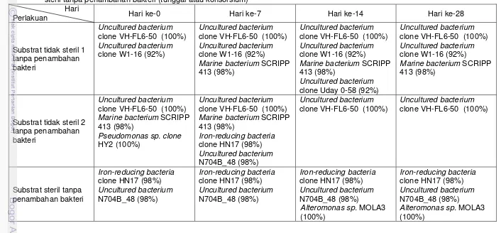 Tabel 4  Pita bakteri yang terdeteksi pada gel akrilamida (profil DGGE) dalam proses bioremediasi pada substrat tidak steril dan substrat steril tanpa penambahan bakteri (tunggal atau konsorsium) 