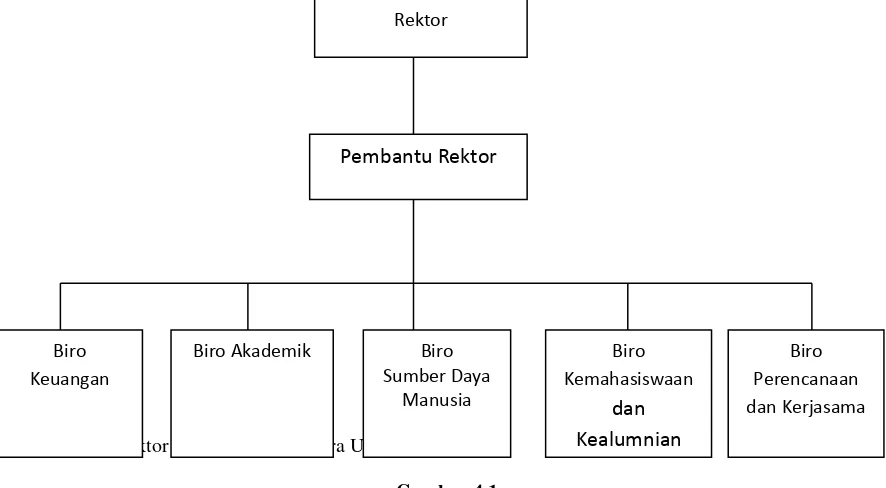 Gambar 4.1 Struktur Organisasi Biro Rektor Universitas Sumatera Utara 