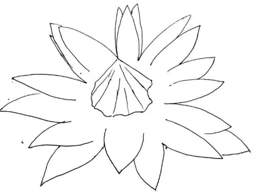 Gambar XI: Sket bunga Tanjung 