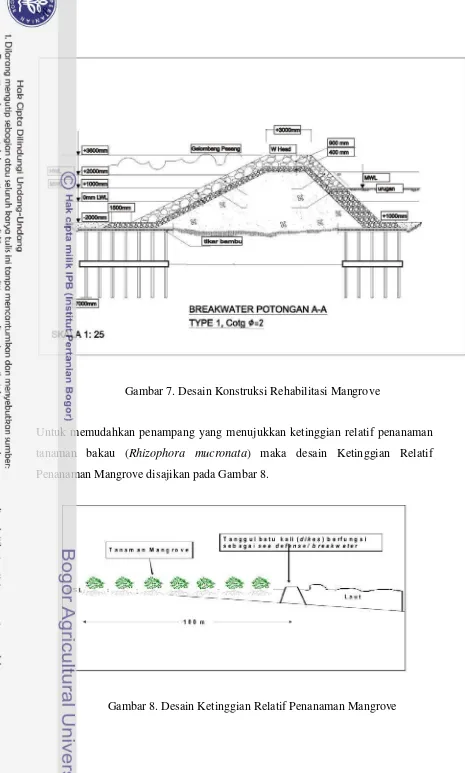 Gambar 7. Desain Konstruksi Rehabilitasi Mangrove 