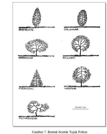 Gambar 7. Bentuk-bentuk Tajuk Pohon 