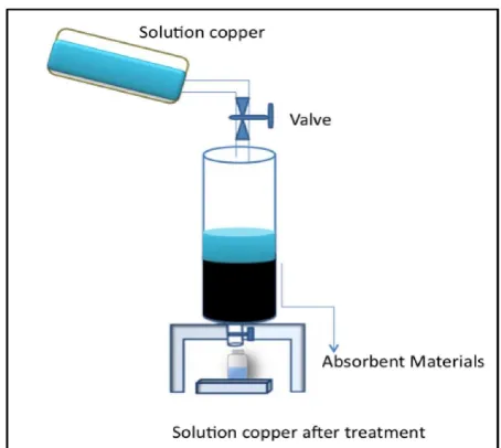Figure 1: Schematic diagram of the experimen-tal set up for the adsorption process.