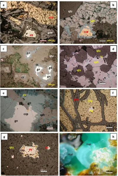 Figure 3: Photomicrographs showing ore mineral assemblages of polymetallic epithermal quartz