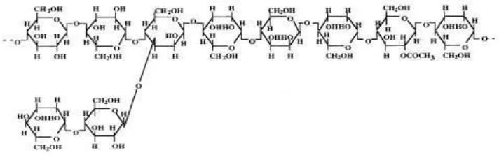 Gambar 1.  Struktur Kimia Glukomannan (Takigami, 2000) 