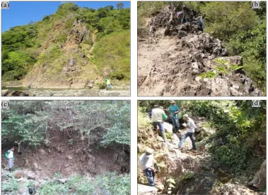 Figure 3: Some quartz veins at Soripesa prospect area (a) Rini vein with width view, (b) Dollah vein,(c) Arif vein with width view, and (d) Merpati vein.