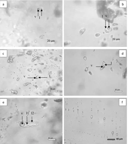 Figure 4: Microphotographs showing liquid-rich ﬂuid inclusions in quartz samples of polymetallic