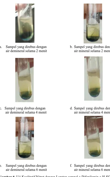 Gambar 8. Uji Kualitatif Nitrat dengan Larutan sampel + Difenilamin + H2SO4 (p)