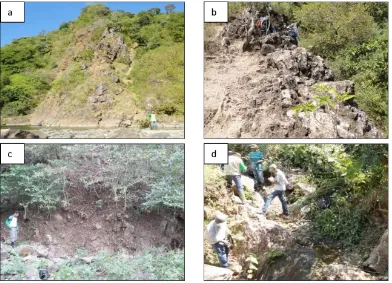 Figure 3: (a) Andesitic volcaniclastic rock (b) Fossiliferous limestones (c) Dacitic volcaniclastic rock(d) Quaternary agglomerate rocks.