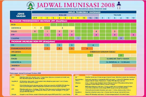 Gambar 2.1 Jadwal Imunisasi Rekomendasi Ikatan Dokter Anak Indonesia Periode 