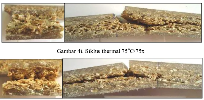 Gambar 4i. Siklus thermal 75oC/75x 