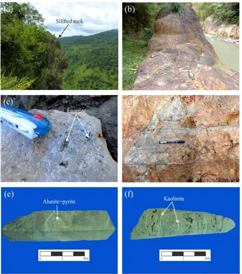 Figure 3:(a) View of massive siliciﬁed outcrop at Cisuru Hill (b) an exposure of silici-ﬁed massive ore body outcropping along the Cikahuripan River in the prospect (c) enargite-pyrite mineralization ﬁlling in the vugs of silica alteration (d) sulﬁdes (pyrite+enargite/luzonite)veinlets in the advanced argillically-altered hydrothermal breccia (e) drill core sample ofalunite-pyrite-alteration (Dcjl04-261) (f) drill core sample showing massive replacement ofpyrite+tennantite+chalcopyrite+emplectite+tellurides mineralization in the vuggy silica (Dcjl01-340).