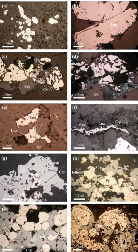 Figure 4: Photo-micrographs illustrating ore mineral assemblages at Cijulang prospect: (a) euhe-dral pyrite within laths of alunite (Dcjl04-282.8) (b) two large subhedral enargite crystals in thevug of silica alteration (c) pyrite-enargite-covellite and late covellite in the vug (d) enargite replaceby covellite in the vug (e) intergrowth of enargite and luzonite (f) enargite-luzonite-chalcopyritemicro-veinlet in the silica alteration (g) spec of chalcopyrite in the massive tennantite (h) tennantite-chalcopyrite-telluride assemblage (drill core DCjl01-340) (i) Intergrowth of tennantite, galena, andchalcopyrite cementing the early formed pyrite of advanced argillic (Dcjl03-327.45); Alu-Alunite,Ccp-chalcopyrite, Cv-covellite, Eng-enargite, Emp-emplectite, Gn-galena, Luz-luzonite, Qz-quartz,Tnt-tennantite.