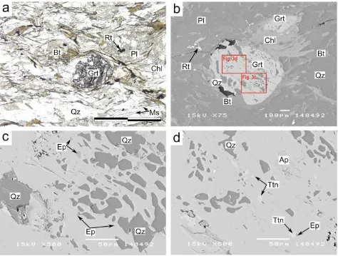 Figure 3: Photomicrograph and back-scattered electron images of garnet-biotite-muscovite schistfrom Barru Complex