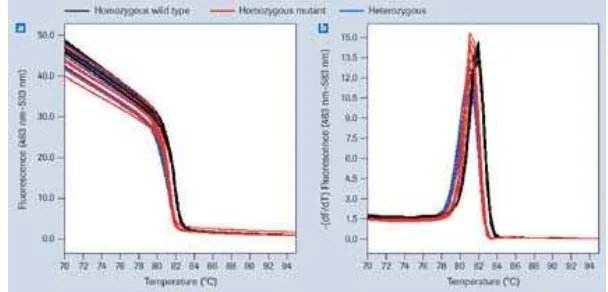 Gambar 7. Analisis kurva pelelehan (melt curve), A. Dua jenis puncak yang dihasilkan mengindikasikan nilai Tm dari dua jenis produk PCR, B