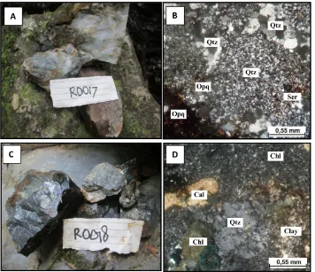 Figure 3: Outcrop/handspecimen and petrographic microphotograph of altered wall rocks inRampi block prospect: (A) and (B) siliciﬁed rock; (C) and (D) propylitic altered rock.