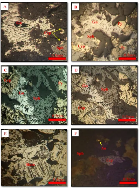 Figure 5: Photomicrograph of ore mineral assemblages from the research area.