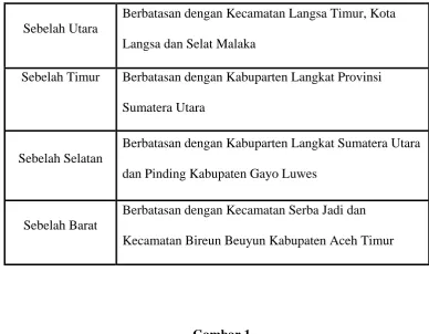 Gambar 1.   Kabupaten Aceh Tamiang 