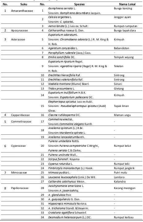 Tabel 1. Nama spesies, sinonim (bila ada), suku, dan lokal tumbuhan penyususn vegetasi lantai di area restorasi Desa Ngablak, Magelang