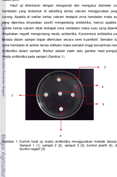 Gambar 1 Contoh hasil uji residu antibiotika menggunakan metode bioassay. 