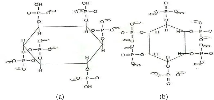 Gambar 1. Struktur asam fitat menurut (a) Erdman (1979) dan (b) Scott et al (1982)  
