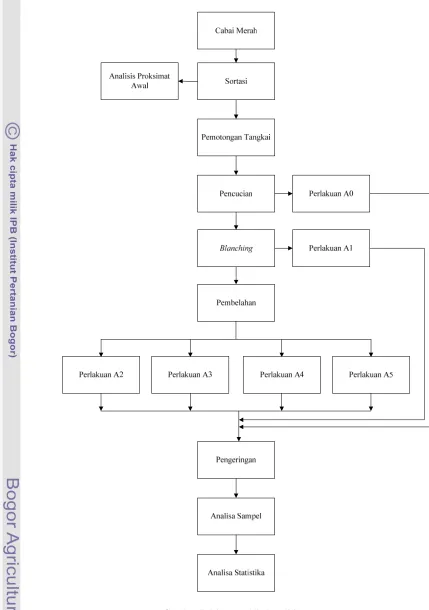 Gambar 7. Diagram Alir Penelitian 