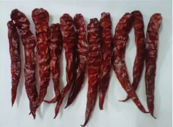 Gambar 12. Cabai Merah Kering A1 