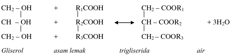 Gambar 2.1.Pembentukan trigliserida oleh asam lemak. 