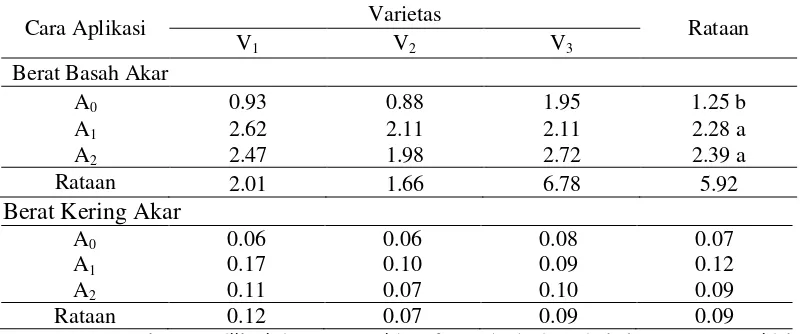 Tabel 5. Berat akar tanaman (g) terhadap cara aplikasi Trichoderma spp. dan varietas kedelai 