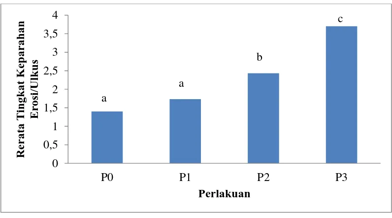 Gambar 5.  Rerata Tingkat Keparahan Erosi/Ulkus Lambung Tikus Setelah Perlakuan Kebisingan.dan P3 = Perlakuan kebisingan (25-50 dB), (55-80 dB) dan (85-110 dB) selama 8  P0 = Kontrol kebisingan (<20 dB) selama 8 hari, P1, P2 hari