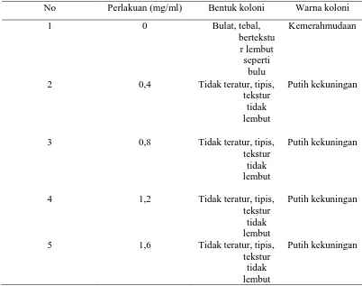 Tabel 1. Bentuk dan Warna Koloni Phaeophleospora sp. Pada Pengamatan 14 