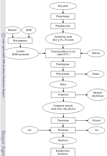Gambar 5. Diagram alir proses transesterifikasi in situ biji jarak pagar (Kartika et al., 2009) 