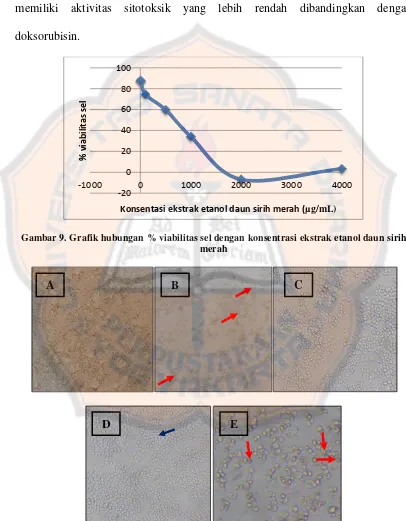 Gambar 9. Grafik hubungan % viabilitas sel dengan konsentrasi ekstrak etanol daun sirih 