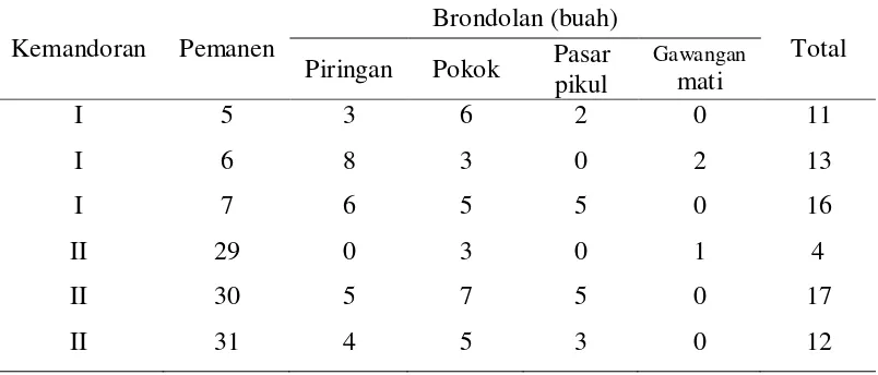 Tabel 11. Pengamatan Brondolan Tinggal 