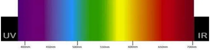 Gambar 1. Perbedaan Kualitas Cahaya Berdasarkan Panjang Gelombang   