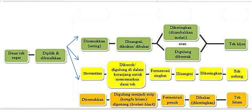 Tabel 1 menunjukkan jenis-jenis teh dan cara pemprosesannya 