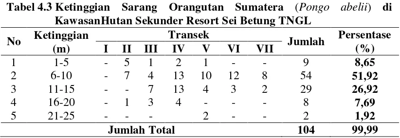 Tabel 4.3 Ketinggian Sarang Orangutan Sumatera (Pongo abelii) di 