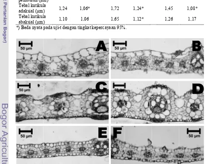 Gambar 4 SayGlok50yatan transverskasi 1 (C) dan0 µm). sal daun: C. kyn lokasi 2 (D), yllingia di lokdan R