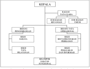 Gambar 9  Struktur organisasi unit pelaksana teknis daerah (UPTD) 