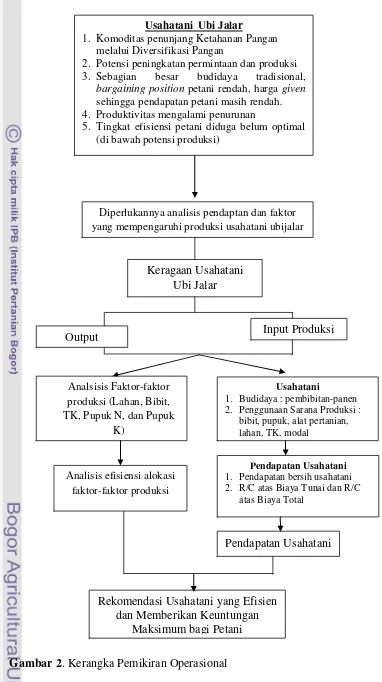 Gambar 2. Kerangka Pemikiran Operasional 