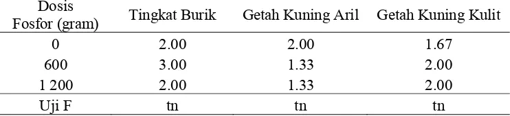 Gambar 9. Skoring Getah Kuning pada Kulit Berturut-turut : 1 dan 3  (dari kanan ke kiri) 