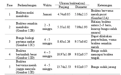 Tabel 6. Karakteristik braktea T. ananassae pada lima fase perkembangan