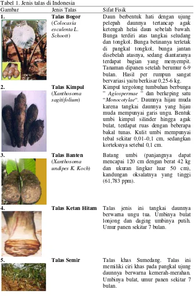 Tabel 1. Jenis talas di Indonesia 